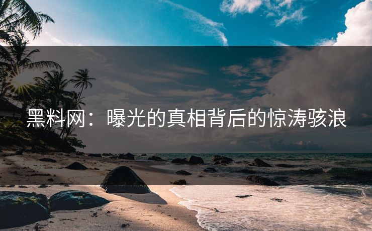 黑料网：曝光的真相背后的惊涛骇浪